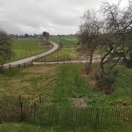 Le Framboisier V De La Distillerie Bio Spirit Belgium Neufchâteau