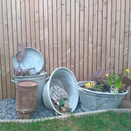 Le Framboisier V De La Distillerie Bio Spirit Belgium Neufchâteau