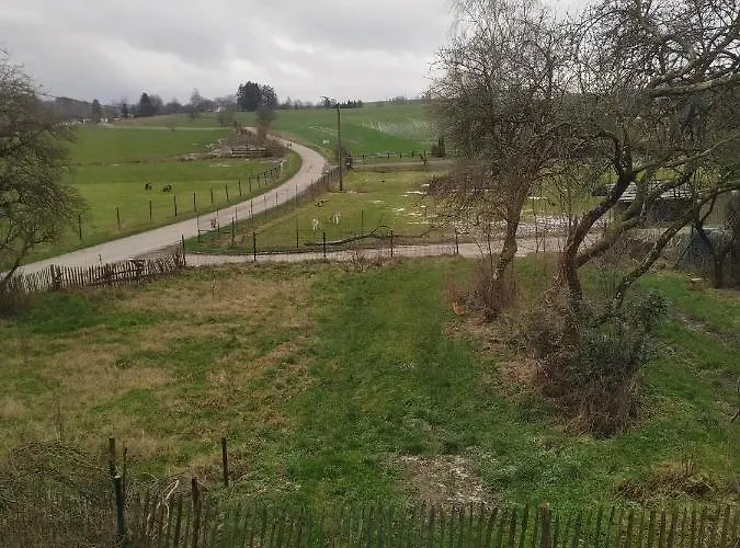 Le Framboisier V De La Distillerie Bio Spirit Belgium Neufchâteau